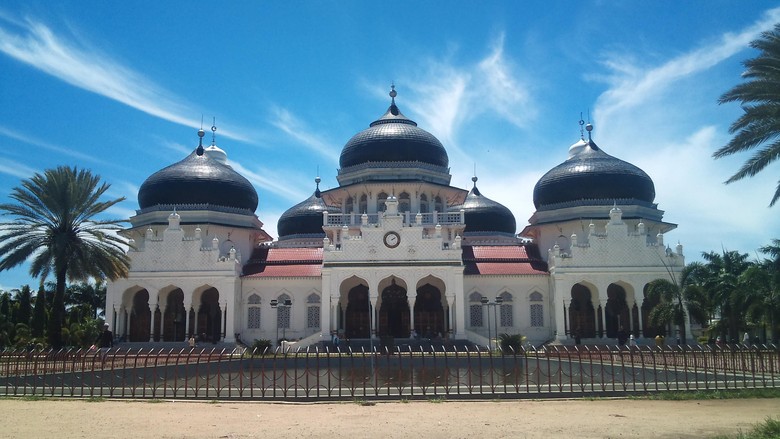 Pohon Kohler Saksi Sejarah di Masjid Baiturrahman Ditebang, Warga Aceh Protes