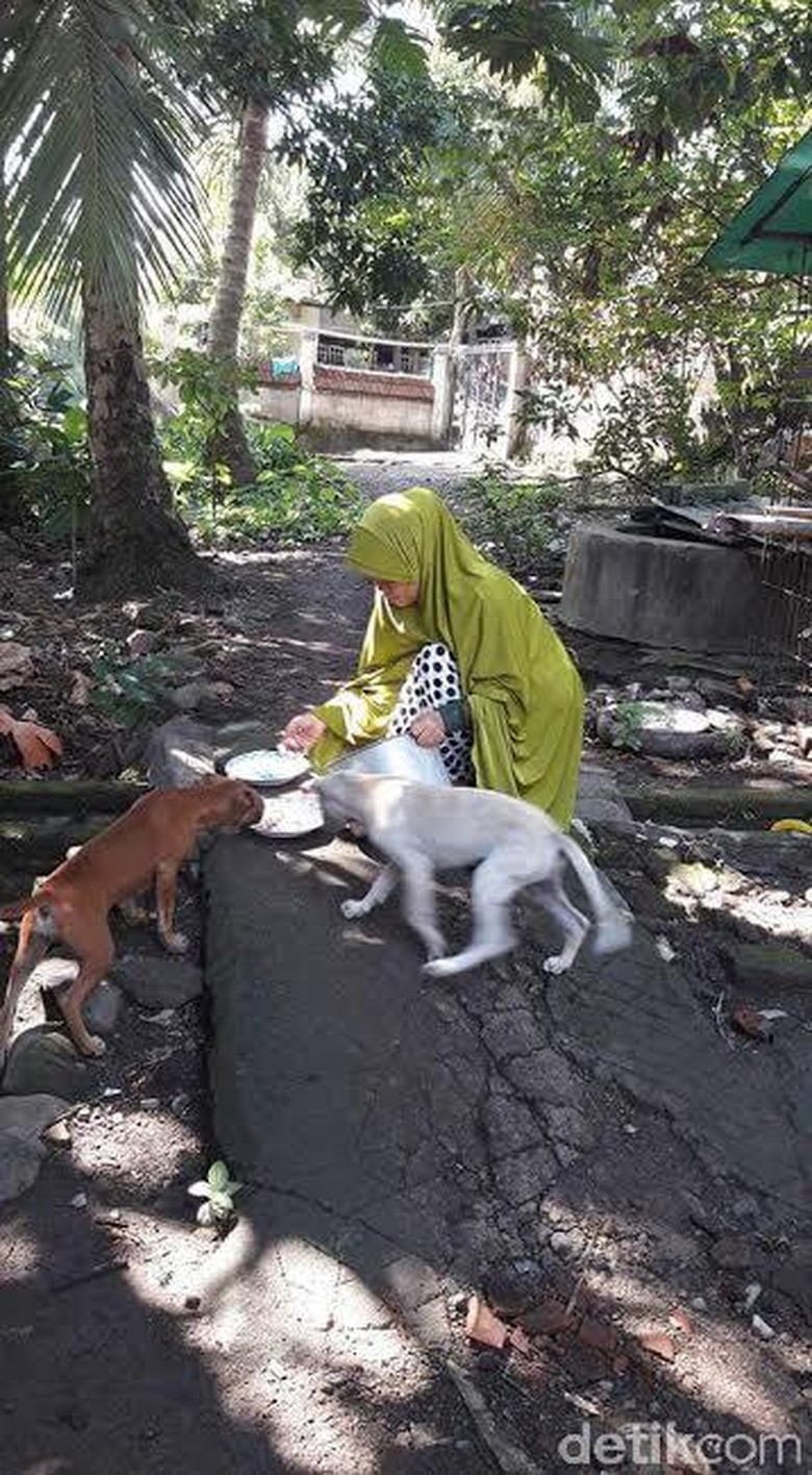 Membandingkan dengan Kisah Desy, Ada Cerita Perempuan yang Menolong Anjing Masuk Surga