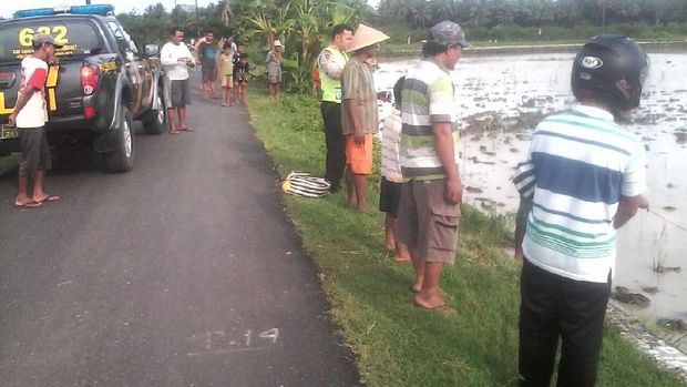 Laki-laki ini Bikin Geger, Dikira 'Mayat' Ternyata Tertidur di Sawah