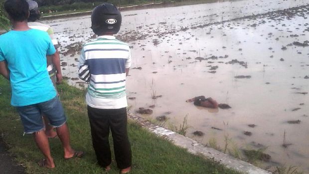 Laki-laki ini Bikin Geger, Dikira 'Mayat' Ternyata Tertidur di Sawah