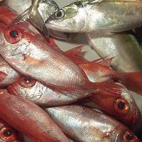 Pilihan Ikan yang Aman untuk Ibu Hamil Pilihan Ikan yang Aman untuk Ibu Hamil