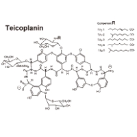 Teicoplanin Teicoplanin