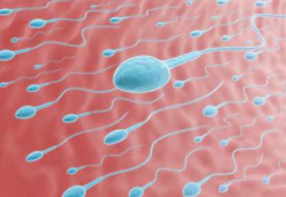 Sperma Selalu Keluar dari Vagina Sehabis Senggama Sperma Selalu Keluar dari Vagina Sehabis Senggama