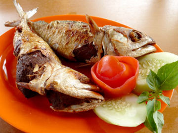 Kembung Betelok Langka dari Bangka Kembung Betelok Langka dari Bangka