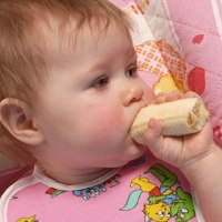 Makan Makanan Padat Lebih Dini Tidak Pengaruhi Pertumbuhan Bayi Makan Makanan Padat Lebih Dini Tidak Pengaruhi Pertumbuhan Bayi