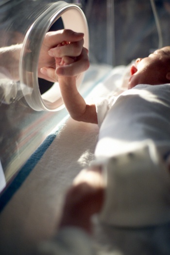 Gangguan Kehamilan yang Bisa Bikin Ibu dan Bayi Meninggal 8 Gangguan Kehamilan yang Bisa Bikin Ibu dan Bayi Meninggal 8