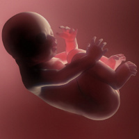 Program Bayi Tabung di Indonesia Kurang Populer Program Bayi Tabung di Indonesia Kurang Populer