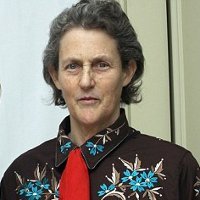 Temple Grandin, Jatuh Bangun Karena Autis Lalu Jadi Profesor Temple Grandin, Jatuh Bangun Karena Autis Lalu Jadi Profesor