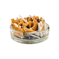 Selalu Panik Kalau Ingat Rokok Selalu Panik Kalau Ingat Rokok