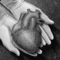 Ini Harga Berbagai Jenis Organ Tubuh di Pasar Gelap Ini Harga Berbagai Jenis Organ Tubuh di Pasar Gelap