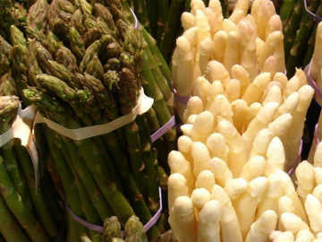 Pasokan Asparagus Berkurang, Asparagus Festivalpun Batal Pasokan Asparagus Berkurang, Asparagus Festivalpun Batal