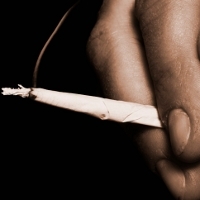 1 Rokok Ganja Sama Bahayanya dengan 20 Rokok Tembakau 1 Rokok Ganja Sama Bahayanya dengan 20 Rokok Tembakau