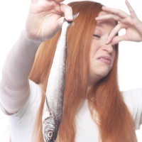 Telan Ikan Hidup Dipercaya Sembuhkan Asma Telan Ikan Hidup Dipercaya Sembuhkan Asma