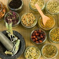 Adakah Terapi Herbal untuk Kanker Rahim? Adakah Terapi Herbal untuk Kanker Rahim?