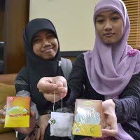 Teh Ciplukan Buatan Mahasiswa UGM Aman Bagi Pasien Diabetes Teh Ciplukan Buatan Mahasiswa UGM Aman Bagi Pasien Diabetes