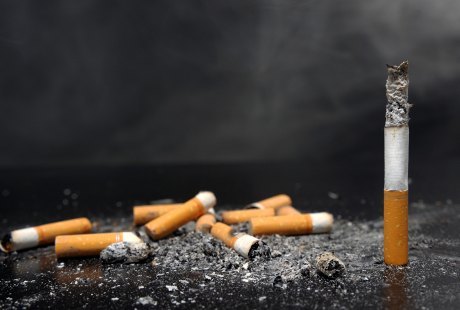 Konsumsi Rokok di Seluruh Dunia Sudah Mengkhawatirkan Konsumsi Rokok di Seluruh Dunia Sudah Mengkhawatirkan