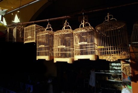 Pasar Hewan Jorok Bisa Bikin Indonesia Potensial Penyakit Menular Pasar Hewan Jorok Bisa Bikin Indonesia Potensial Penyakit Menular