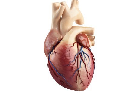 Katup Jantung Menyempit, Adakah Efek Samping Jika Minum Obat Jantung? Katup Jantung Menyempit, Adakah Efek Samping Jika Minum Obat Jantung?
