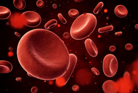 Hemoglobin Tinggi, Perlukah Diturunkan? Hemoglobin Tinggi, Perlukah Diturunkan?