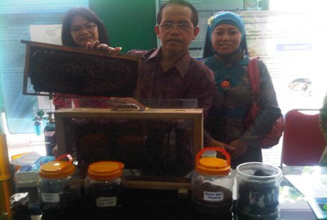 Peneliti Unair Obati Pasien HIV dengan Propolis Lebah Peneliti Unair Obati Pasien HIV dengan Propolis Lebah