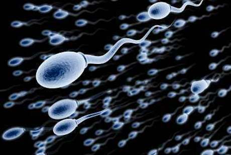 Beginilah Nasib Sperma yang Tidak Bisa Membuahi Sel Telur Beginilah Nasib Sperma yang Tidak Bisa Membuahi Sel Telur