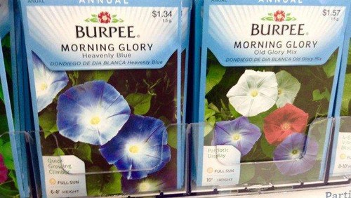Remaja Amerika Salah Gunakan Bibit Tanaman Sleepy Grass untuk Efek Halusinasi Remaja Amerika Salah Gunakan Bibit Tanaman Sleepy Grass untuk Efek Halusinasi