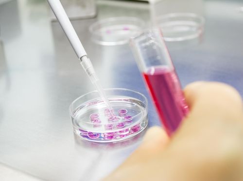 Pada Riset Vaksin, Virus dan Penyakit Bisa Jadi Sumber Kekayaan Pada Riset Vaksin, Virus dan Penyakit Bisa Jadi Sumber Kekayaan